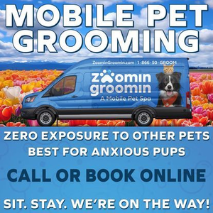 Zoomin Groomin