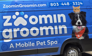 Zoomin Groomin