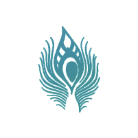 Soul Strength Medicine: Leslie Brocchini, MD, ABIM, ABOIM, DABOM