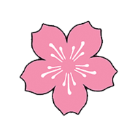 Hanami Medspa : Elaine Phuah, DO, MBA, FACOI