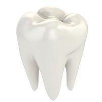 Van Ness Family Dentistry