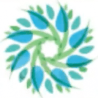 Global Healing Network