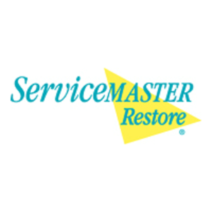Service Master-Disaster Associates