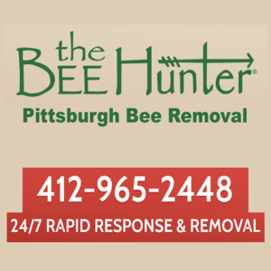 The Bee Hunter