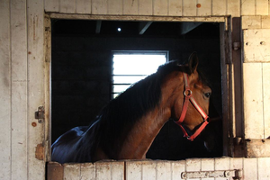 Amish Farm Stay