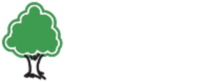 Joseph Tree