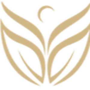 Elements Rejuvenating Med Spa