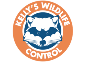 Kelly's Wildlife Control
