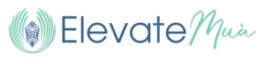 Elevate Mua