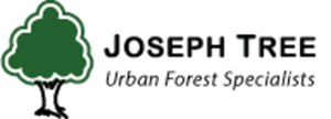 Joseph Tree