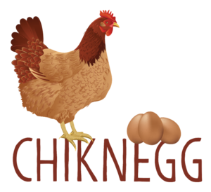 Chiknegg Incubator Kitchen