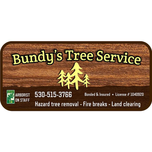 Bundy's Tree Service