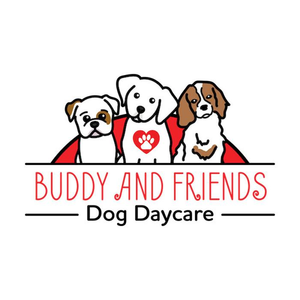 Buddy and Friend's Dog Daycare