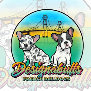 Designabulls
