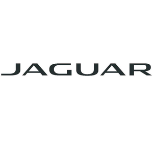 Jaguar Wichita