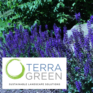 TerraGreen Sustainable Landscaping