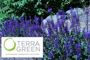 TerraGreen Sustainable Landscaping