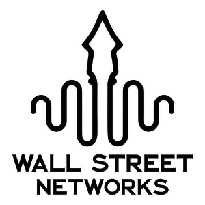Wall Street Networks llc