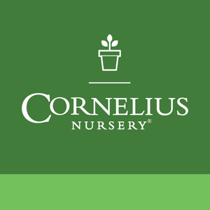 Cornelius Nursery