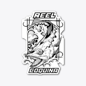 Reel Coquina Fishing Charters
