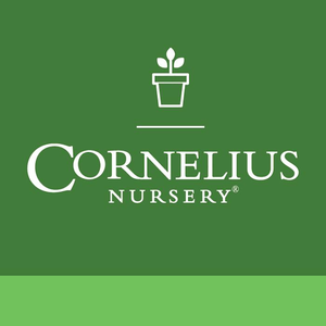 Cornelius Nursery