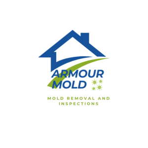 Armour Mold Removal