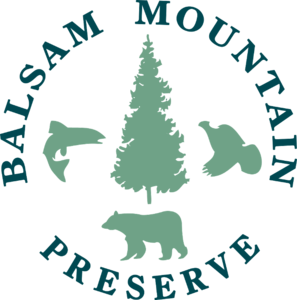 Balsam Mountain Preserve