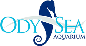 OdySea Aquarium
