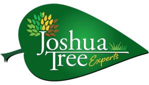 Joshua Tree Experts