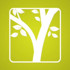 Branches United Pentecostal Church