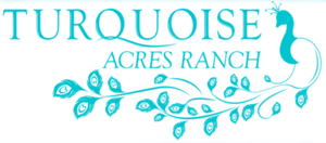 Turquoise Acres Ranch