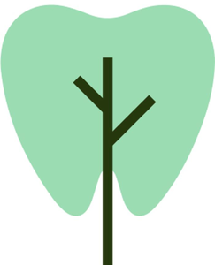 Willow Dental