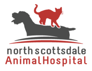 North Scottsdale Animal Hospital