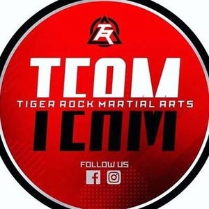 Tiger Rock Martial Arts of Tyler