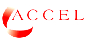 Accel Process Service, Inc.