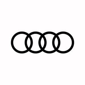 Audi Fletcher Jones