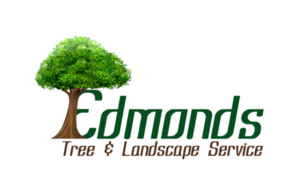 Edmonds Tree & Landscape Service