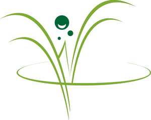 Willow Wellness Center