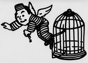 A Better Bail Co.