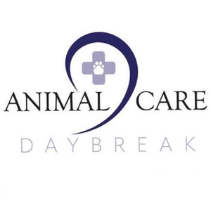 Animal Care Daybreak