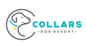 Collars Dog Resort