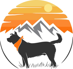 Mary Angilly Dog Training