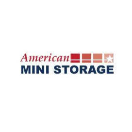 American Mini Storage