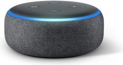 99 cent echo dot