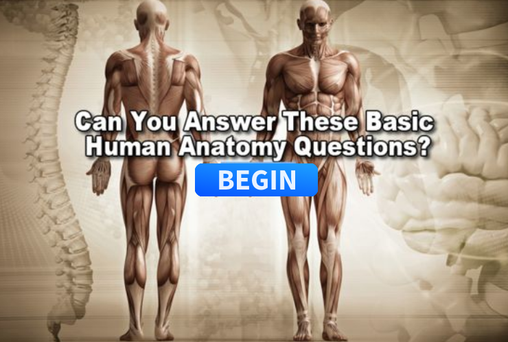 задания на may might. Can you answer these. Aunt judy's problem page. Can you answer these. английский язык 4 класс страница 48.