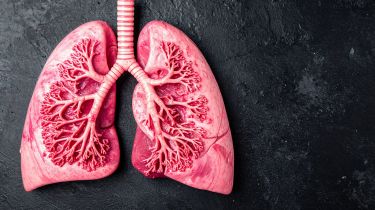 Pulmonary Health