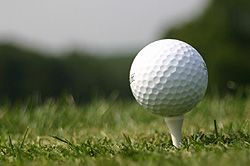 Golf Course Communities and Homes