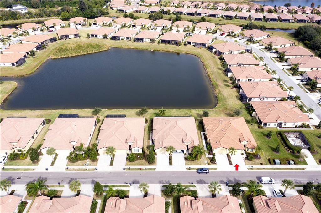 Southshore Falls 55+ Active Adult Communities Apollo Beach, FL