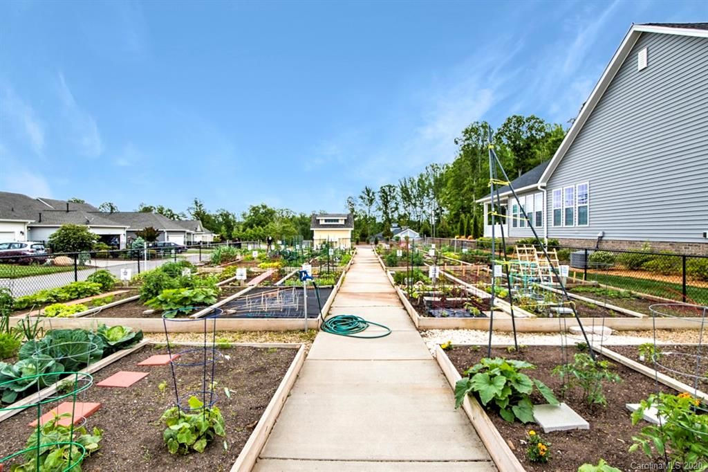 Baileys Glen 55+ Active Adult Communities Cornelius, NC Homes For