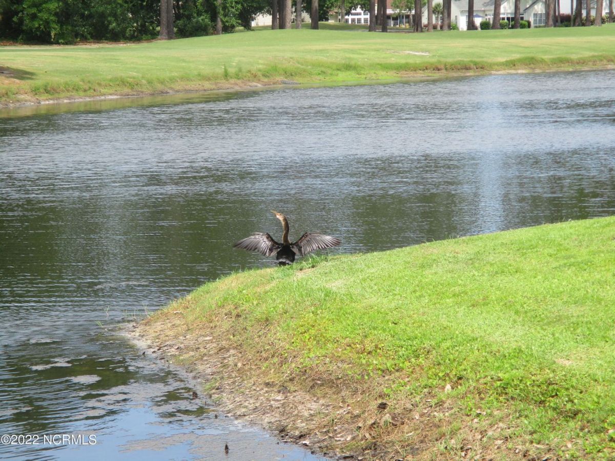 886 Great Egret Circle